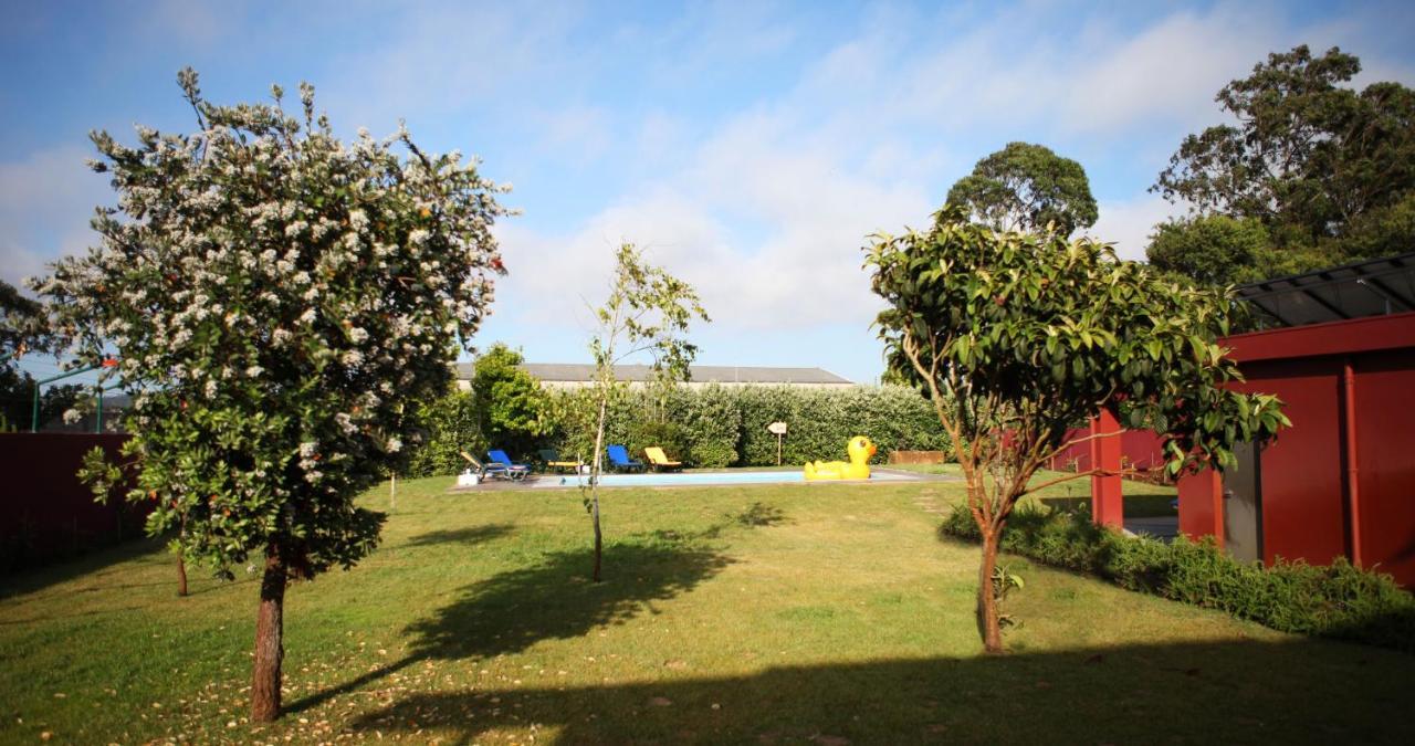 Woof & Sun Villa Esmoriz Exterior foto