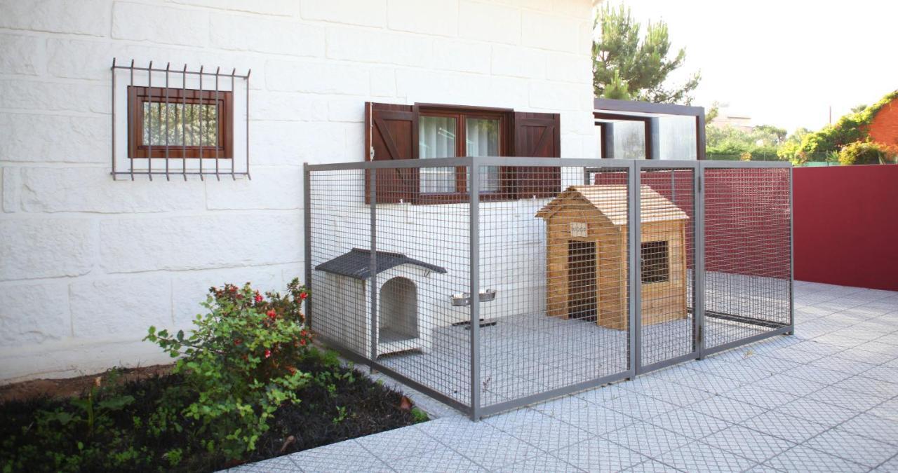 Woof & Sun Villa Esmoriz Exterior foto