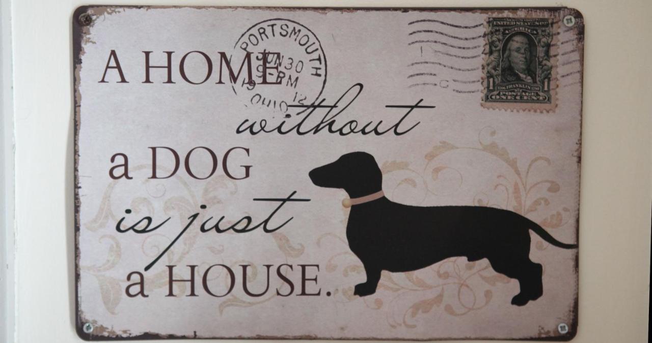 Woof & Sun Villa Esmoriz Exterior foto
